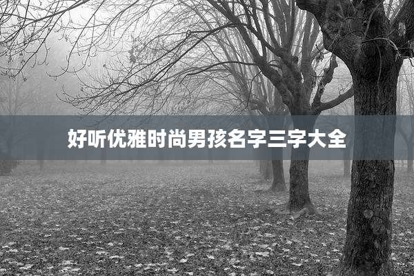 好听优雅时尚男孩名字三字大全