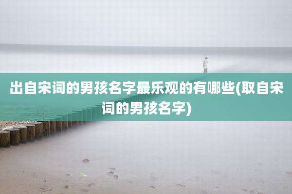 出自宋词的男孩名字最乐观的有哪些(取自宋词的男孩名字)