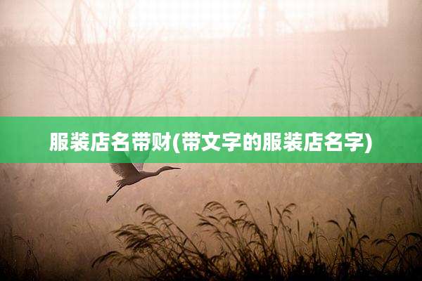 服装店名带财(带文字的服装店名字)