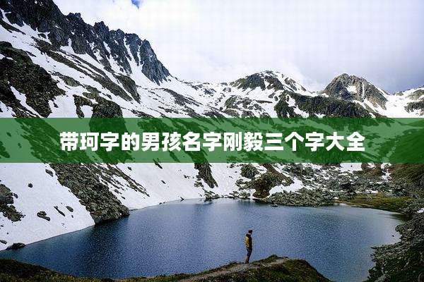带珂字的男孩名字刚毅三个字大全