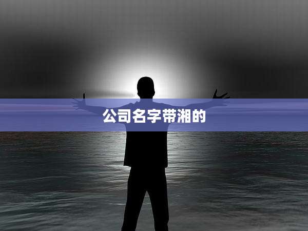 公司名字带湘的