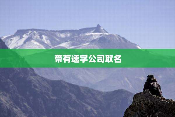 带有速字公司取名