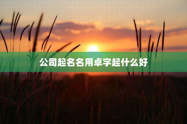公司起名名用卓字起什么好