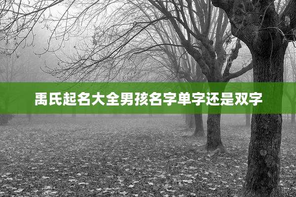 禹氏起名大全男孩名字单字还是双字