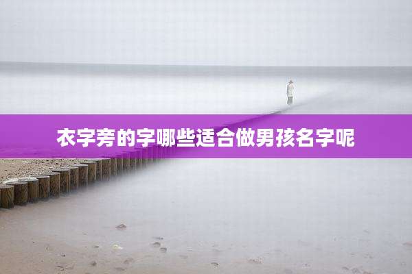 衣字旁的字哪些适合做男孩名字呢