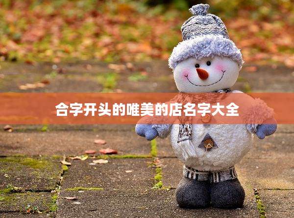 合字开头的唯美的店名字大全