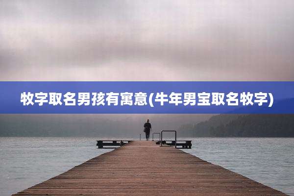 牧字取名男孩有寓意(牛年男宝取名牧字)