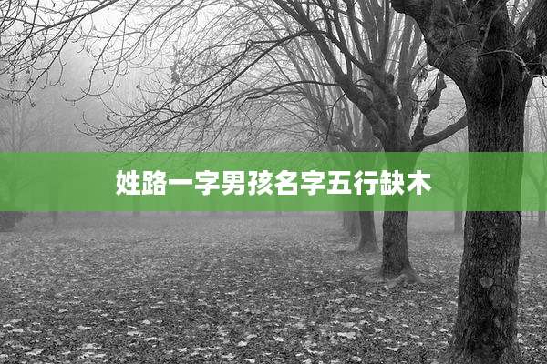 姓路一字男孩名字五行缺木