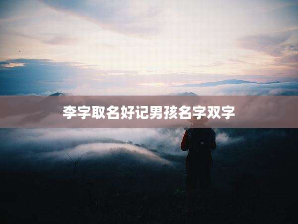 李字取名好记男孩名字双字