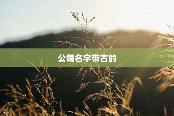 公司名字带古的