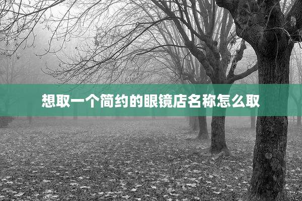 想取一个简约的眼镜店名称怎么取