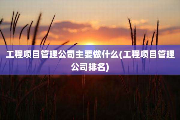 工程项目管理公司主要做什么(工程项目管理公司排名)