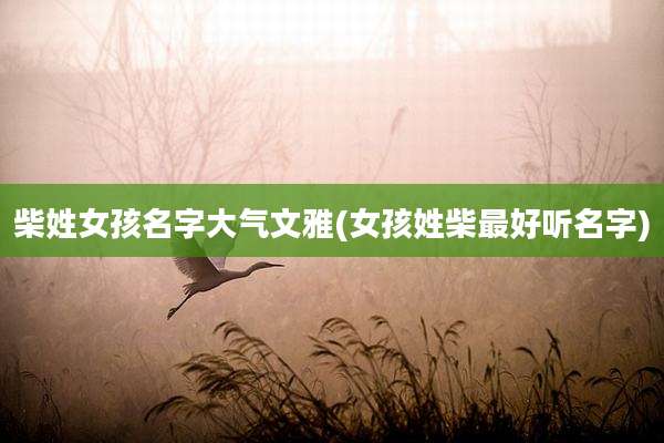 柴姓女孩名字大气文雅(女孩姓柴最好听名字)