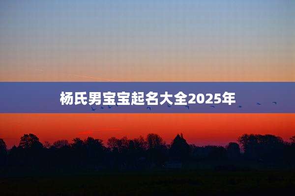 杨氏男宝宝起名大全2025年