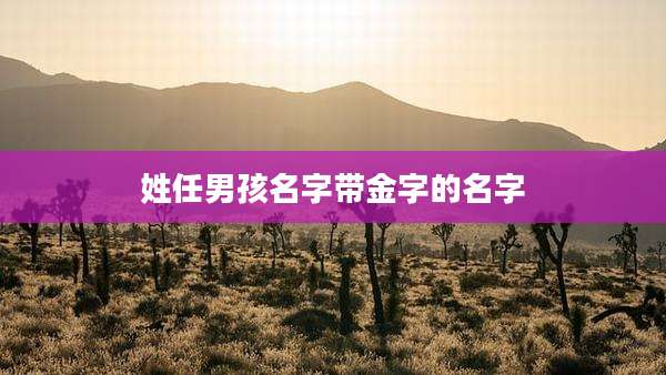 姓任男孩名字带金字的名字