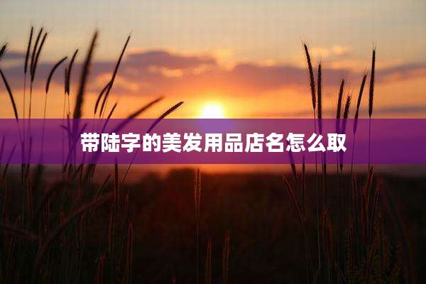 带陆字的美发用品店名怎么取