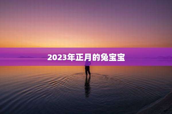 2023年正月的兔宝宝