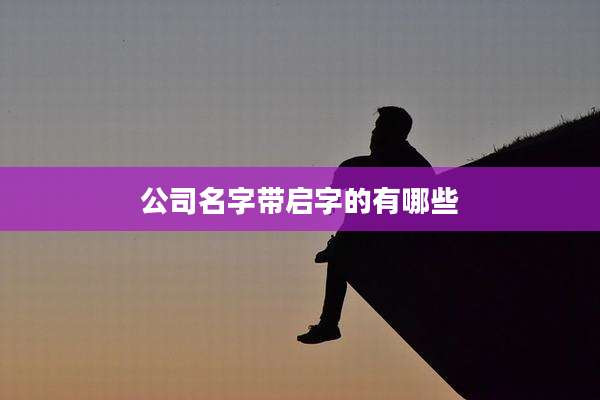 公司名字带启字的有哪些