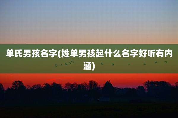 单氏男孩名字(姓单男孩起什么名字好听有内涵)