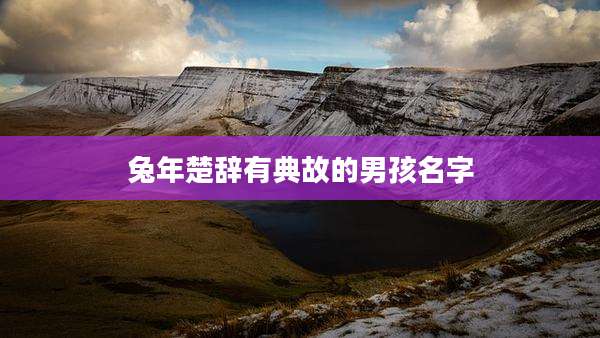 兔年楚辞有典故的男孩名字