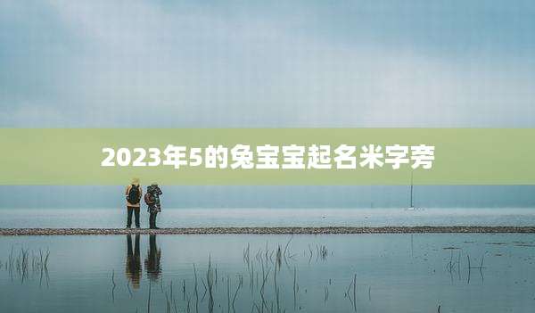 2023年5的兔宝宝起名米字旁