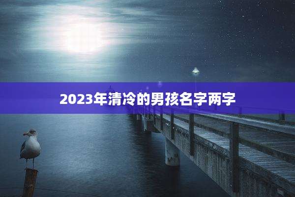 2023年清冷的男孩名字两字