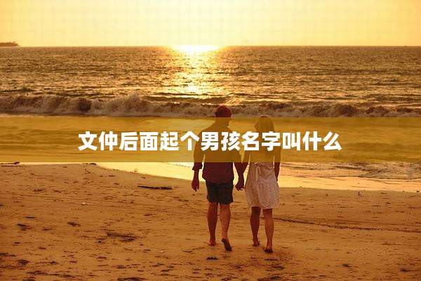 文仲后面起个男孩名字叫什么