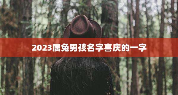 2023属兔男孩名字喜庆的一字