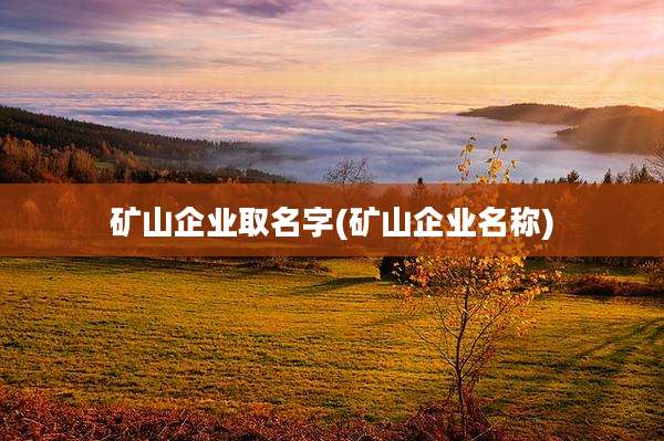 矿山企业取名字(矿山企业名称)