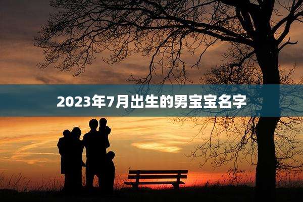 2023年7月出生的男宝宝名字
