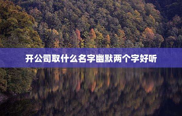 开公司取什么名字幽默两个字好听
