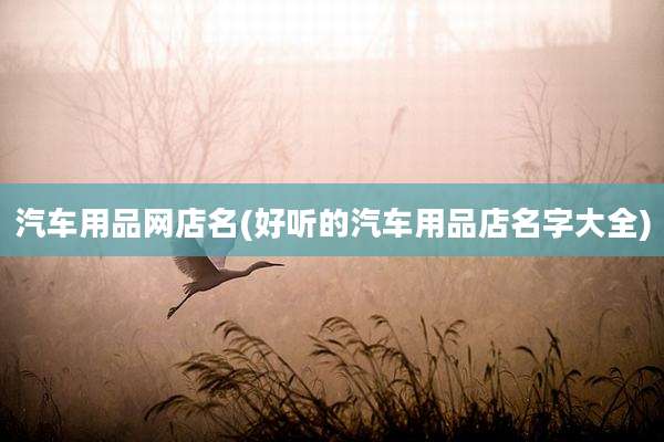 汽车用品网店名(好听的汽车用品店名字大全)