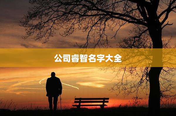 公司睿智名字大全
