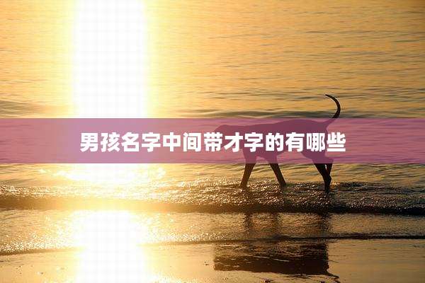 男孩名字中间带才字的有哪些