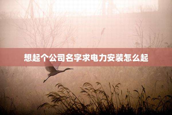 想起个公司名字求电力安装怎么起