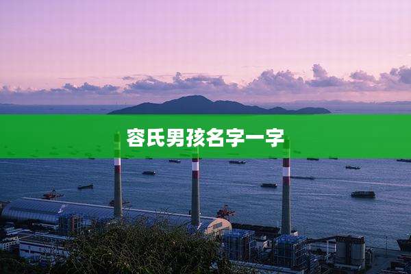容氏男孩名字一字