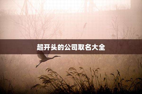 超开头的公司取名大全