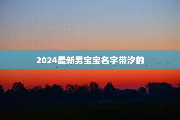2024最新男宝宝名字带汐的