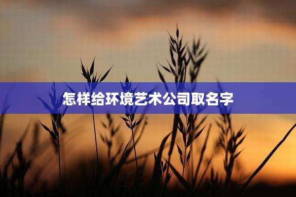 怎样给环境艺术公司取名字