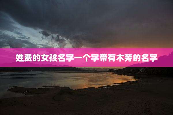 姓费的女孩名字一个字带有木旁的名字