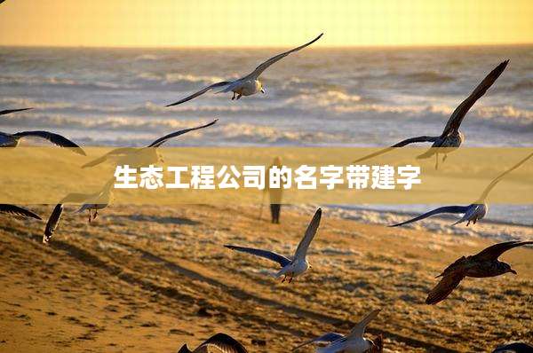 生态工程公司的名字带建字
