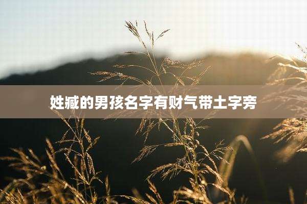 姓臧的男孩名字有财气带土字旁