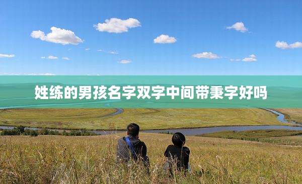 姓练的男孩名字双字中间带秉字好吗