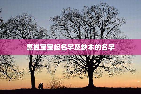 惠姓宝宝起名字及缺木的名字