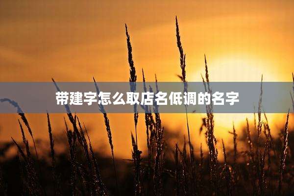 带建字怎么取店名低调的名字