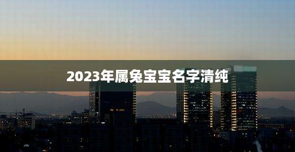 2023年属兔宝宝名字清纯