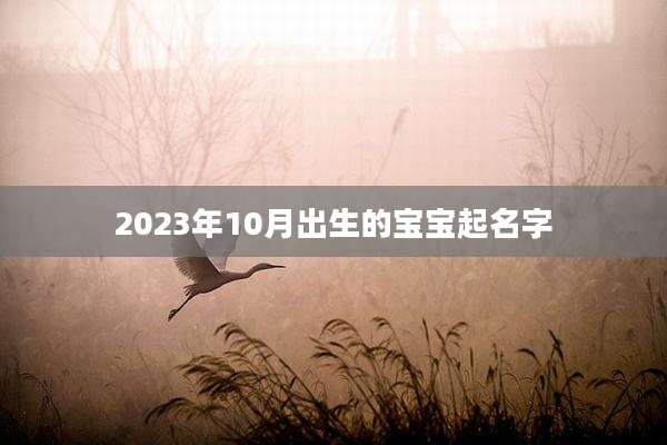 2023年10月出生的宝宝起名字