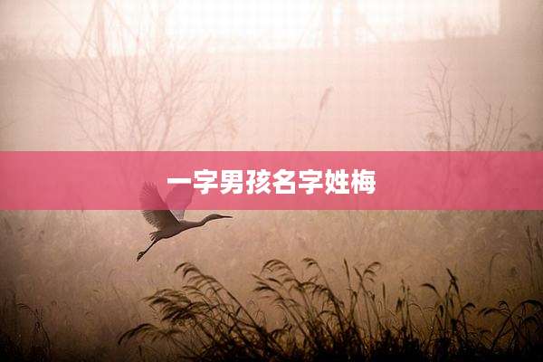 一字男孩名字姓梅