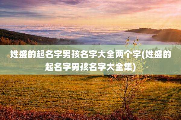 姓盛的起名字男孩名字大全两个字(姓盛的起名字男孩名字大全集)