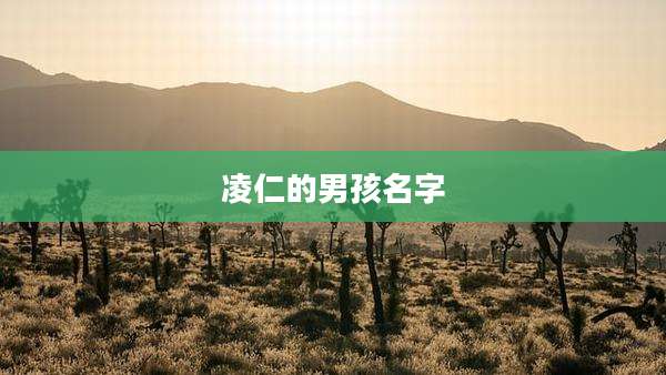 凌仁的男孩名字